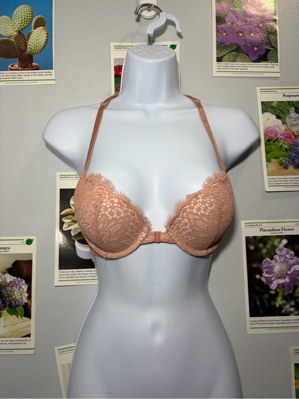 Victoria's Secret Lace Plunge Bra - Blush Peach